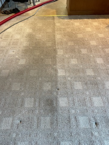 A beige patterned carpet displays a clear before and after carpet cleaning result—one side spotless, the other still dirty. A red hose and yellow tape in the background hint at professional residential carpet cleaning near me.
