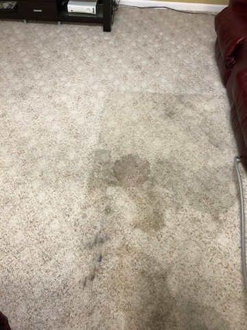 A light-colored carpet with a large, dark stain in the center and additional discoloration surrounding it—perfect for showcasing before and after carpet cleaning results. Red furniture and an entertainment unit are partially visible around the edges.