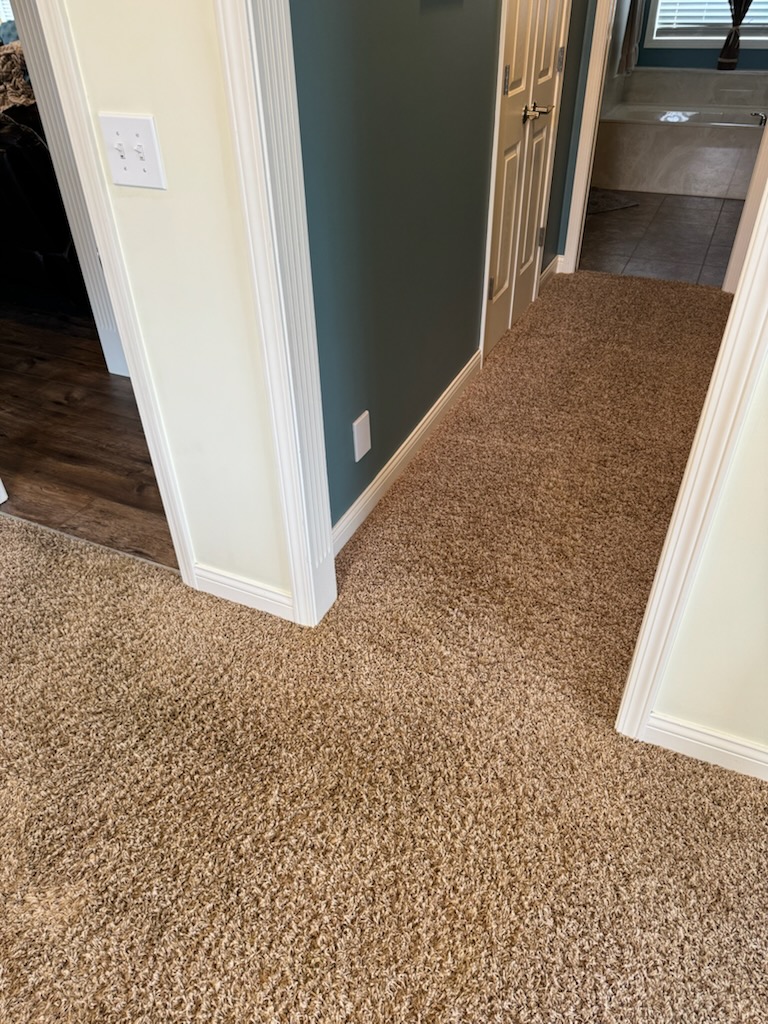 Fluffy brown carpets after a professional cleaning has been completed.